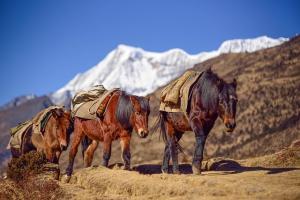 Bhutan Trekking Rafting